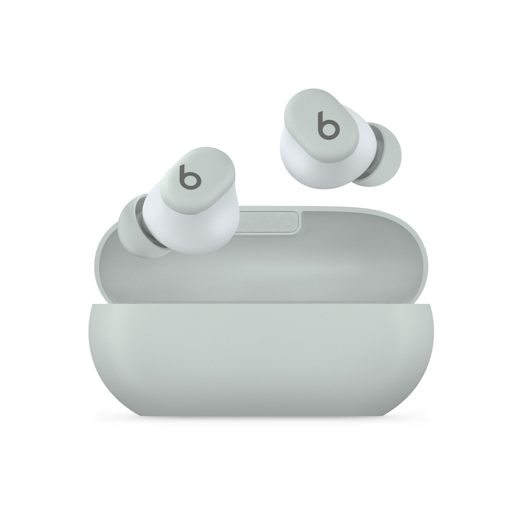 Apple Beats Solo Buds Storm Gray
