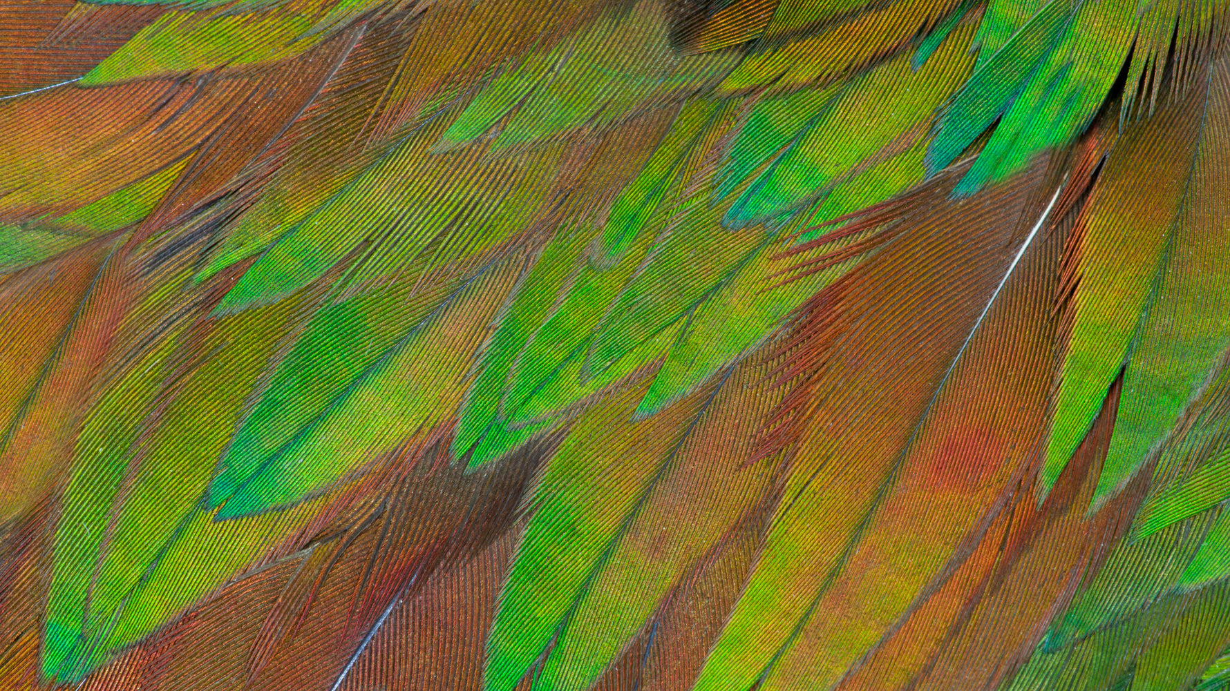 Philips 3000 series 27B1U3900/00 computer monitor 68,6 cm (27