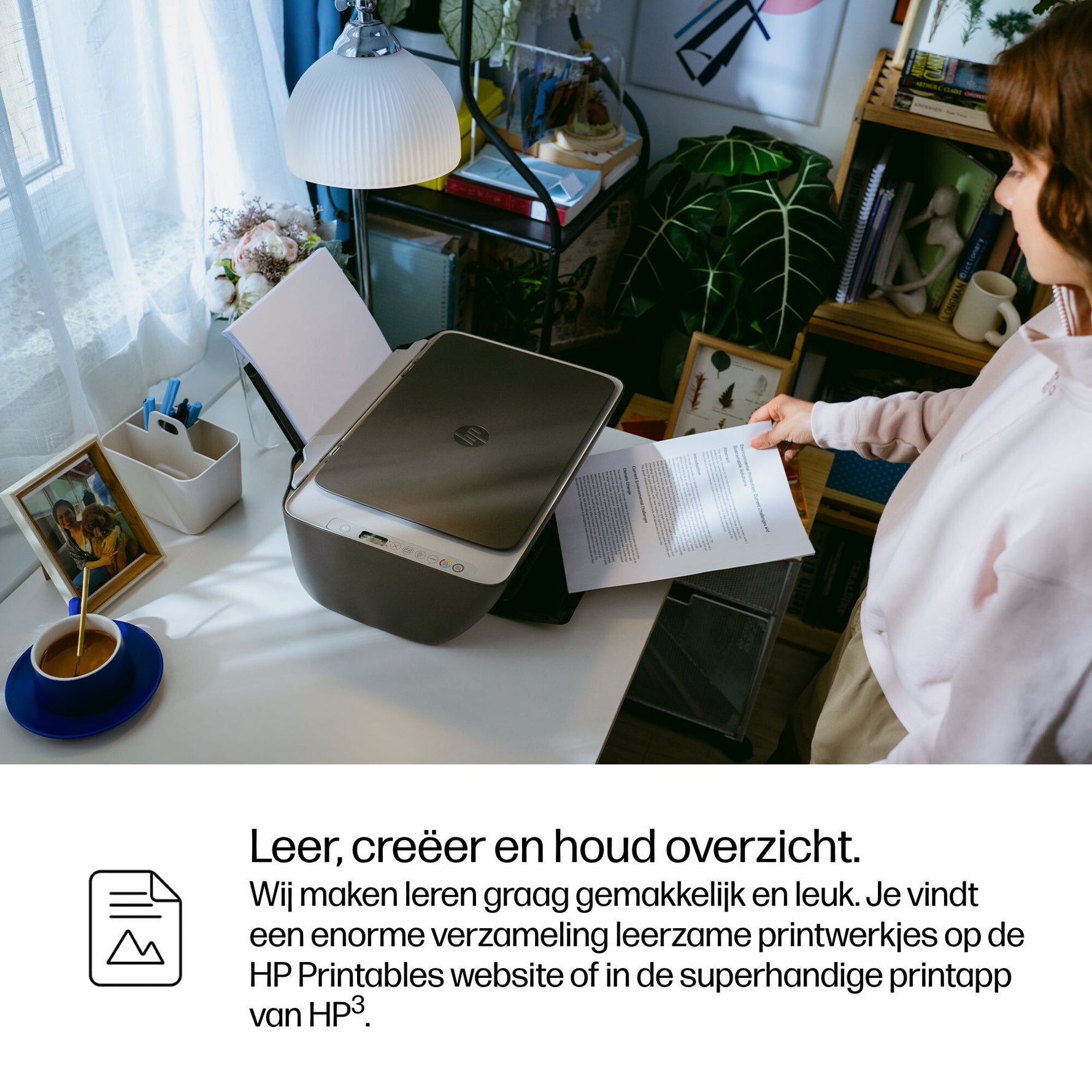 HP DeskJet 2910 Draadloos All-in-One Kleur Printer