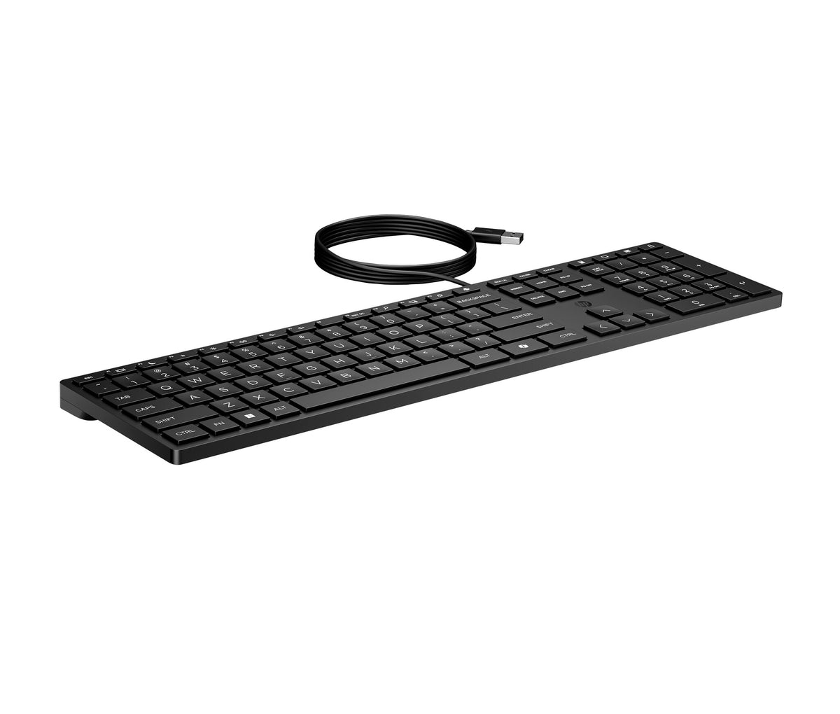 HP Desktop 320K toetsenbord met kabel