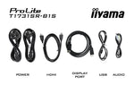 iiyama ProLite T1731SR-B1S computer monitor 43,2 cm (17") 1280 x 1024 Pixels SXGA LCD Touchscreen Zwart
