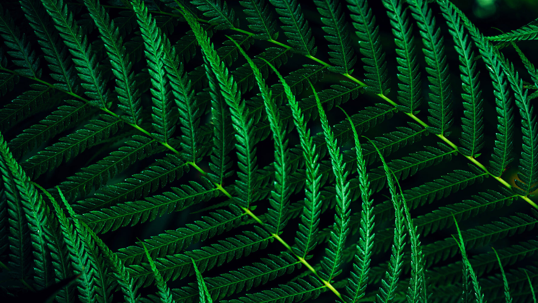 Philips 5000 series 27B2G5601/00 computer monitor 68,6 cm (27