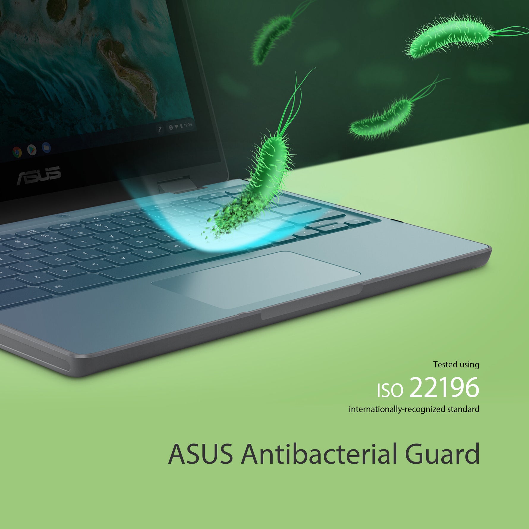 ASUS Chromebook Flip CR1 CR1100FKA-BP0354 Intel® Pentium® Silver N6000 29,5 cm (11.6