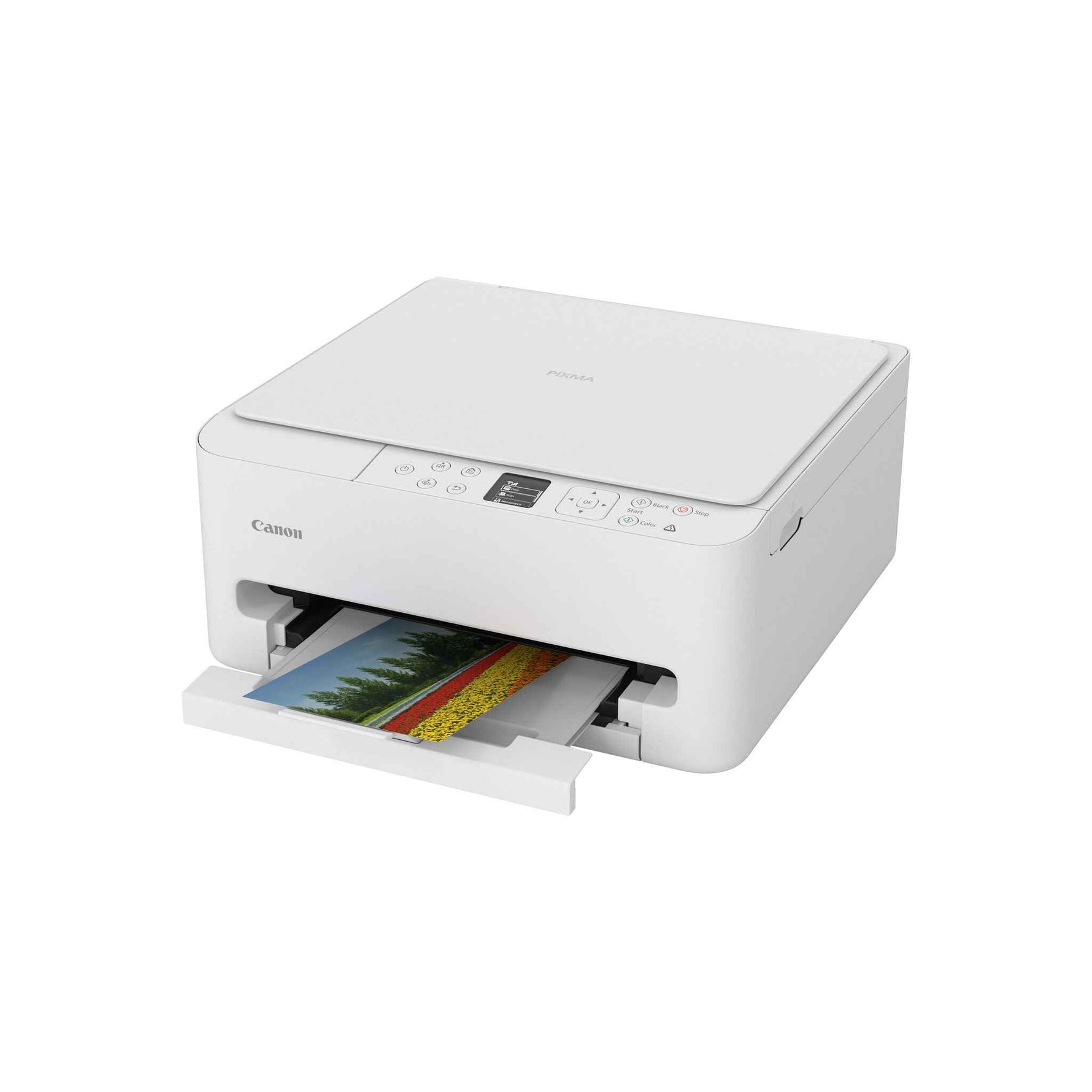 Canon PIXMA TS6550i Inkjet A4 1200 x 1200 DPI Wifi