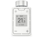 DECT 302 International