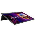 ASUS ZenScreen MB17AHG computer monitor 43,9 cm (17.3") 1920 x 1080 Pixels Full HD LCD Zwart
